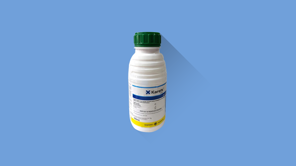 Obat Ulat Penggulung Daun Padi Paling Ampuh