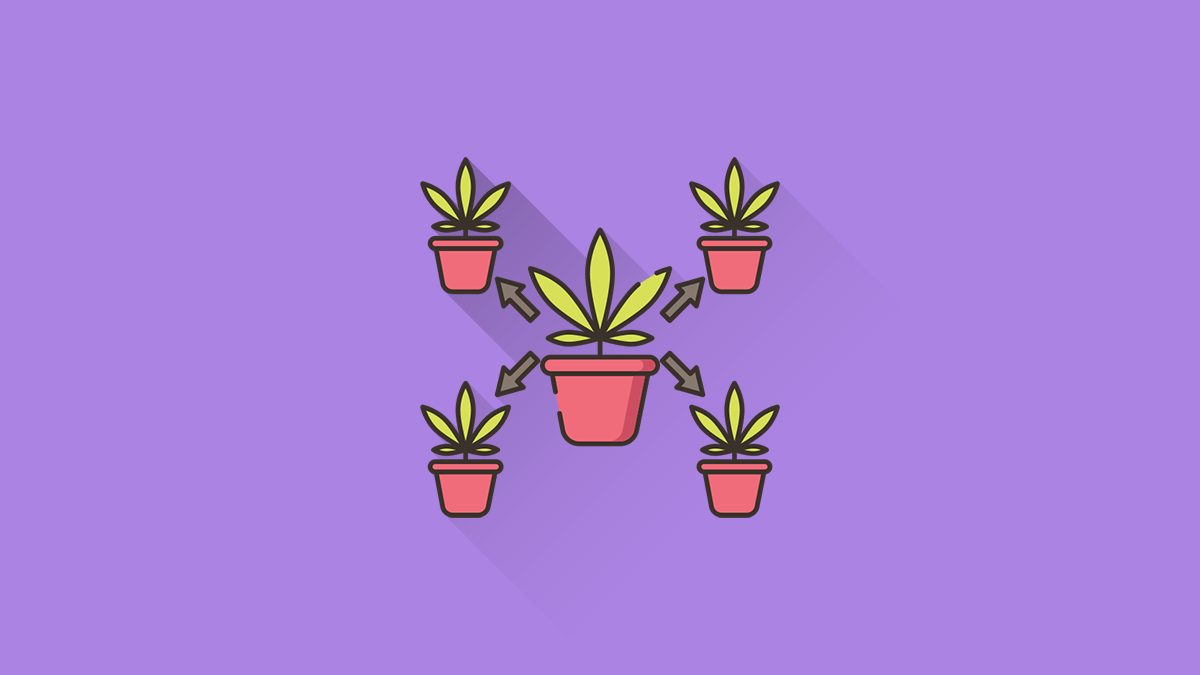 Perbedaan Clone dan Unclone
