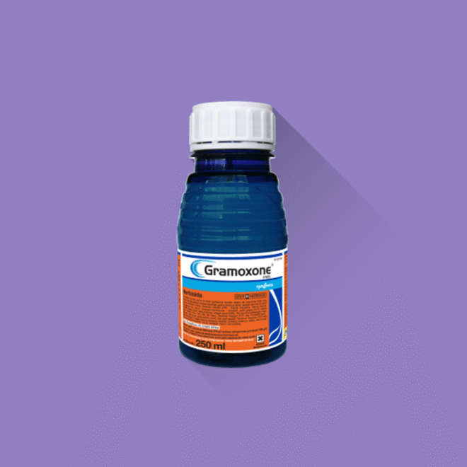 Campuran Gramoxone Agar Rumput Cepat Mati